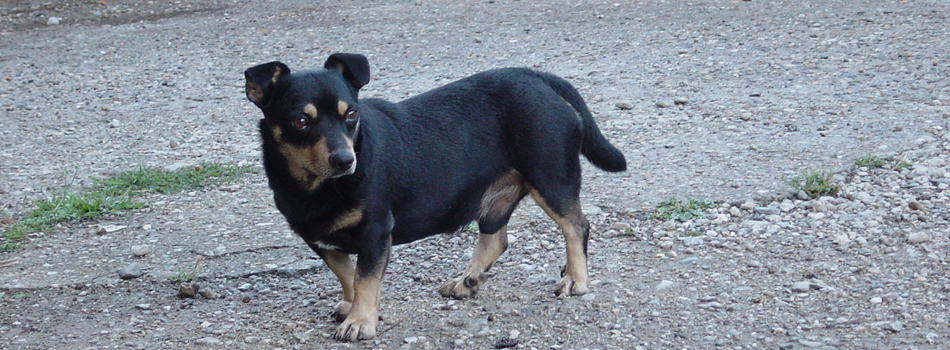 <a href="#"><b>---</b></a><p>Jack</p>